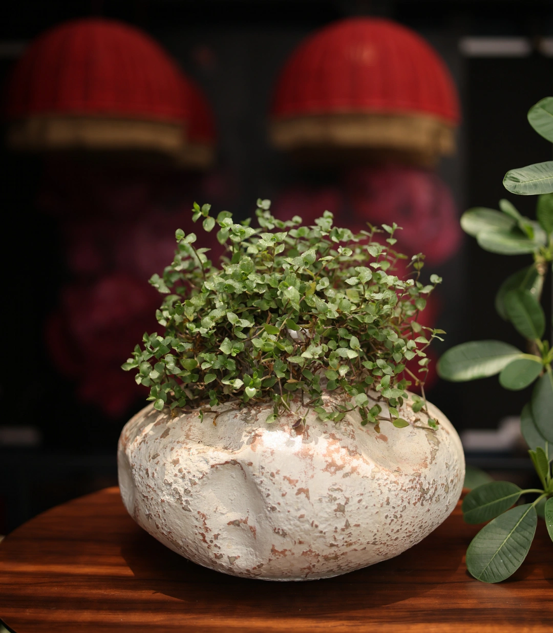 Alba Vase