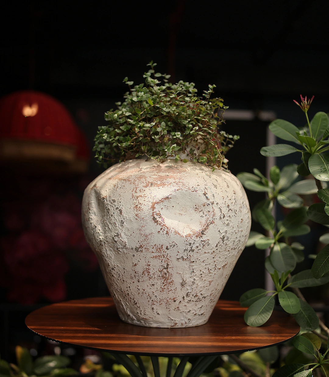 Neve Vase