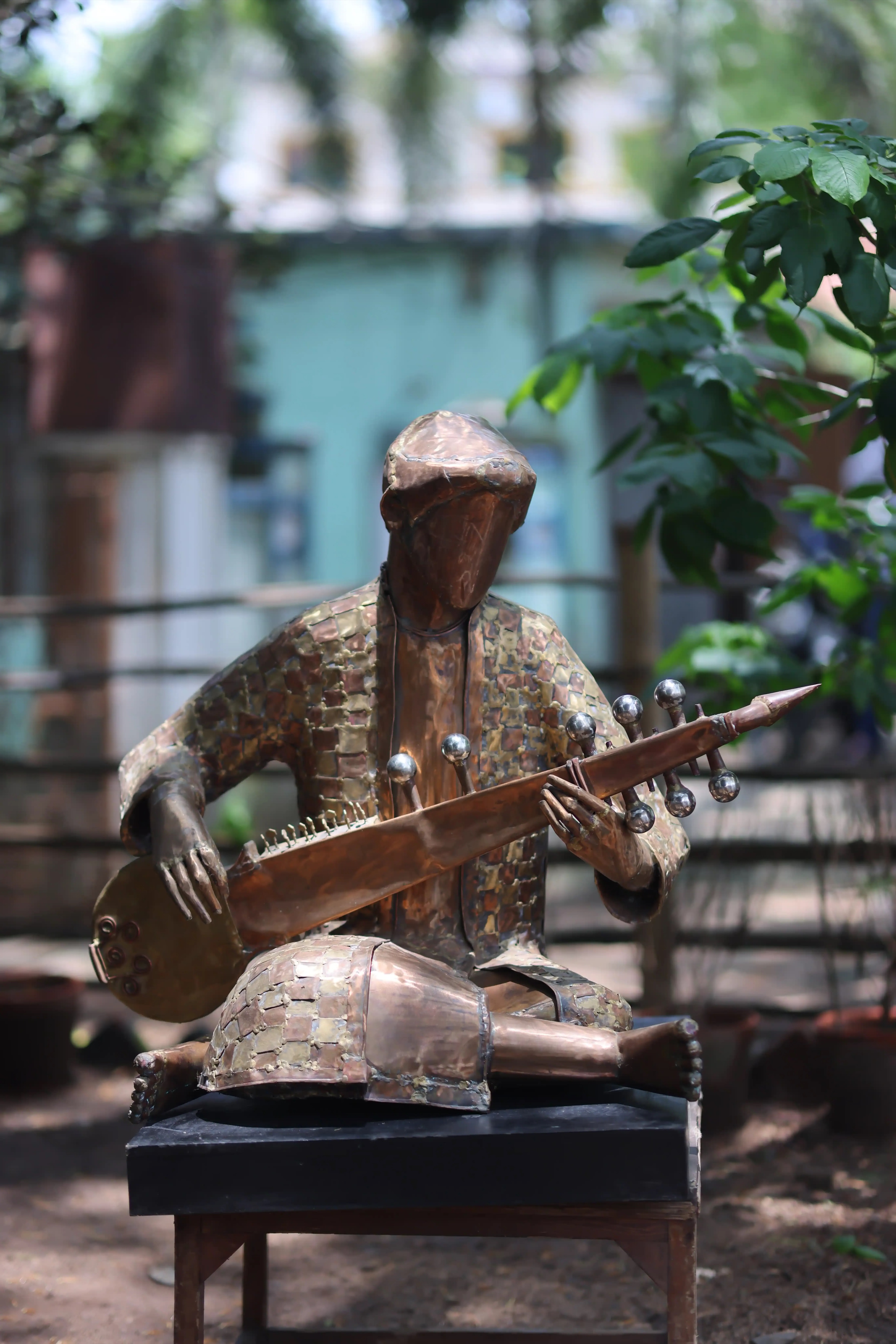Sarod Player