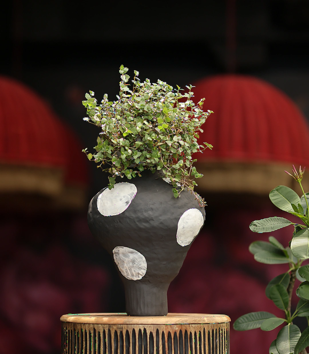 The Eclipse Vase