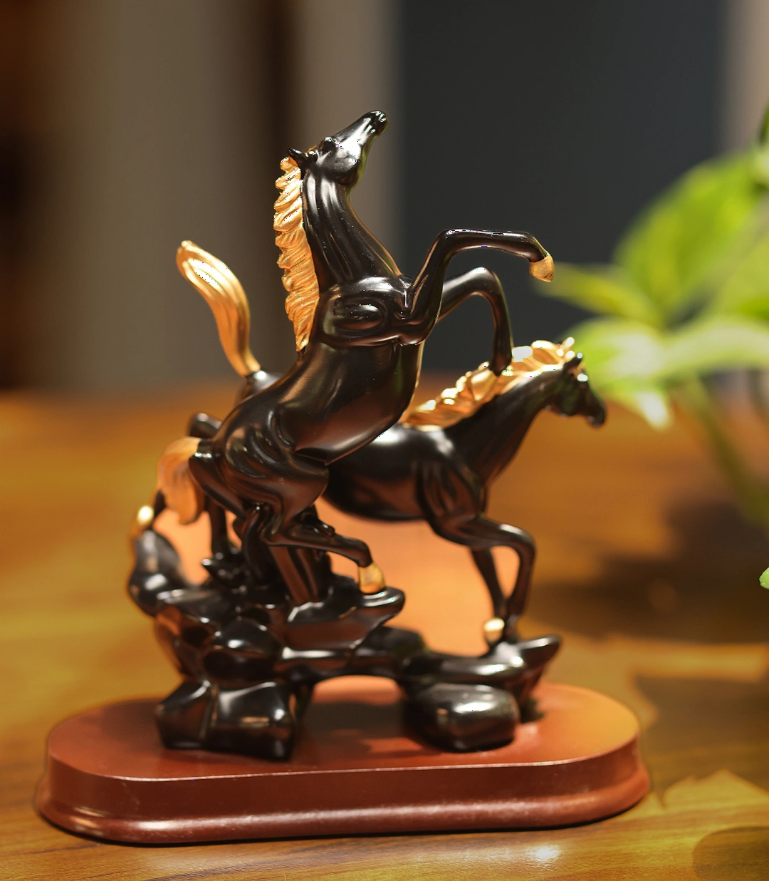 The Gallop